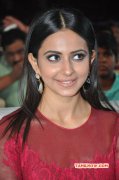 Rakul Preet Singh Tamil Heroine Oct 2015 Gallery 9293