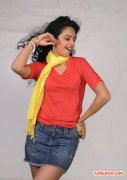 Tamil Actress Rakul Preet Singh 3776