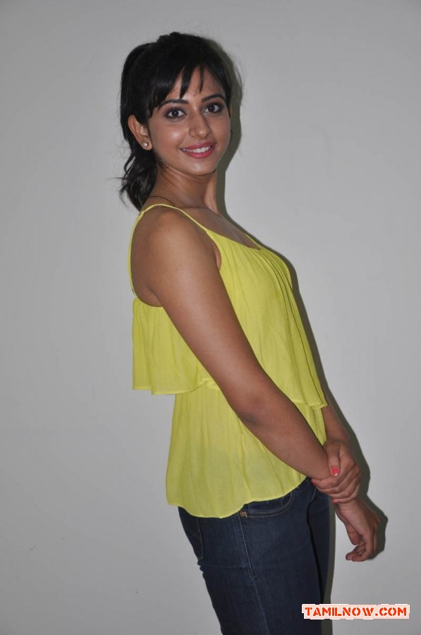 Tamil Actress Rakul Preet Singh 3786