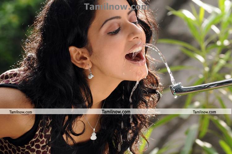 Actress Rakul Preet Photo 9