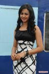 Actress Rakul Preeth Singh 3127