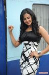 Rakul Preeth Singh Stills 249