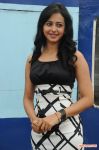 Rakul Preeth Singh Stills 4483