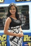 Tamil Actress Rakul Preeth Singh 9738