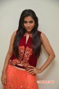 Photos Rashmi Gautam Tamil Heroine 5016