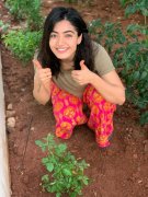 New Picture Rashmika Mandanna Heroine 5318