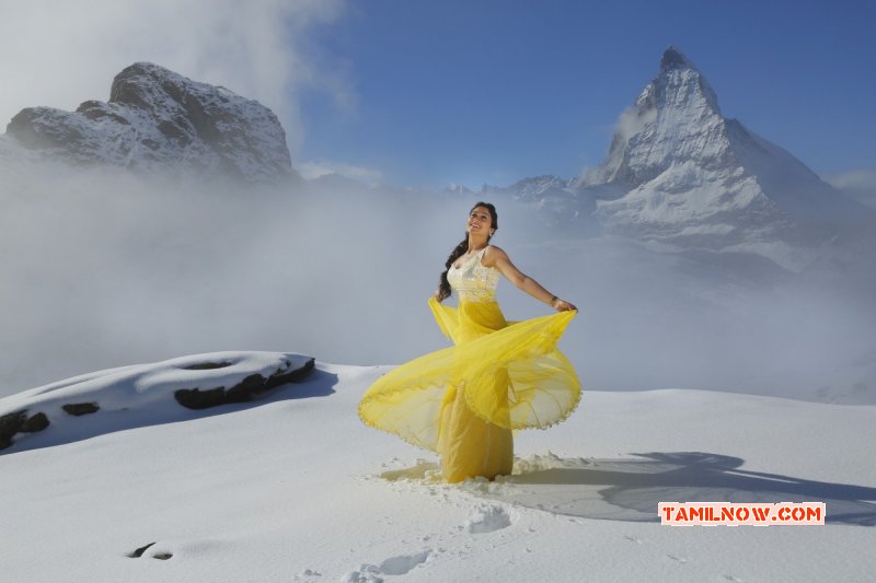 New Pic Tamil Heroine Regina 2524