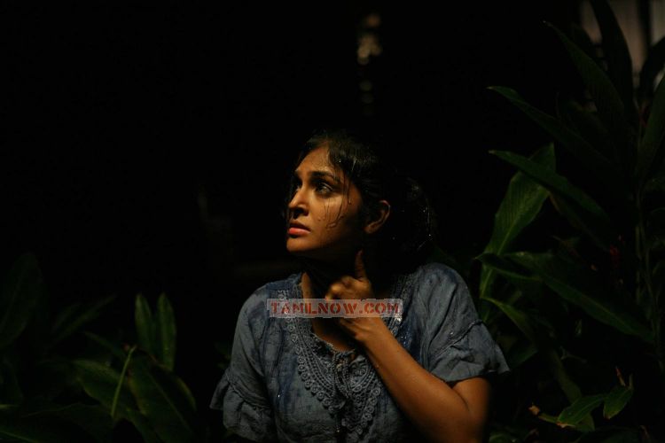 Remya Nambeesan Stills 2888