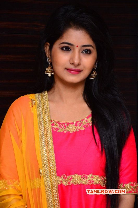 Movie Actress Reshmi Menon Latest Picture 1287