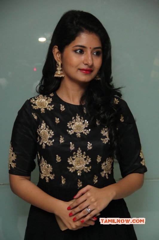 New Photo Film Actress Reshmi Menon 3827