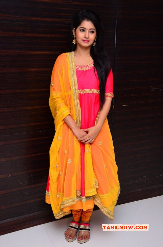 Reshmi Menon Indian Actress Jul 2015 Stills 3492