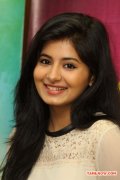 Tamil Actress Reshmi Menon 2329