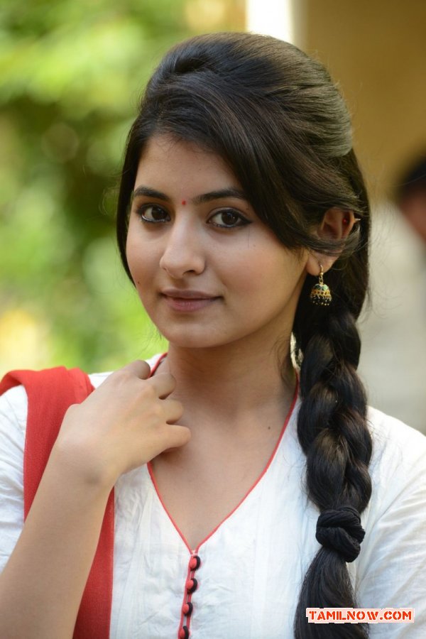 Tamil Actress Reshmi Menon 8246