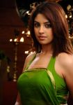 Actress Richa Gangopadhyay Stills 7740