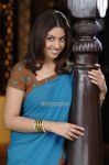 Tamil Actress Richa Gangopadhyay 3677