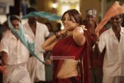 Tamil Actress Richa Gangopadhyay Photos 127