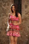 Tamil Actress Richa Gangopadhyay Photos 2072