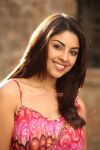 Tamil Actress Richa Gangopadhyay Photos 3442
