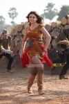 Tamil Actress Richa Gangopadhyay Photos 4852