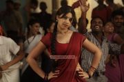 Tamil Actress Richa Gangopadhyay Pics 724