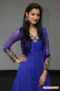 Richa Panai Stills 2932