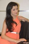 Tamil Actress Richa Panai 643