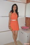 Tamil Actress Richa Panai 6462