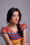 Tamil Actress Richa Panai Stills 4538