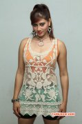 Cinema Actress Rishika 2014 Galleries 5820