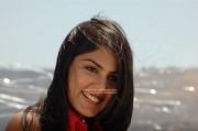 Riya 4137