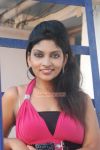 Rohini Subbaian Stills 7907