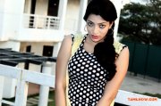 Saaraa Chetti Photos 229