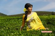 Cinema Actress Sada Latest Image 5655