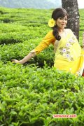 Latest Wallpapers South Actress Sada 957