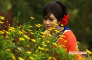 Recent Photo Sada Tamil Actress 8191