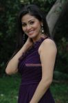 Tamil Actress Sada 8728