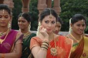 Tamil Actress Sada Photos 8156