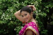 Tamil Actress Sada Stills 3116