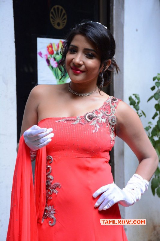 Film Actress Sakshi Agarwal Latest Photo 8028