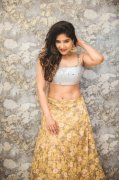 Recent Pic South Actress Sakshi Agarwal 4013