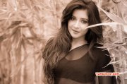 Sakshi Agarwal Tamil Heroine Jul 2017 Photos 8518