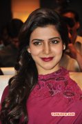 Actress Latest Pic Samantha Latest Photo 547