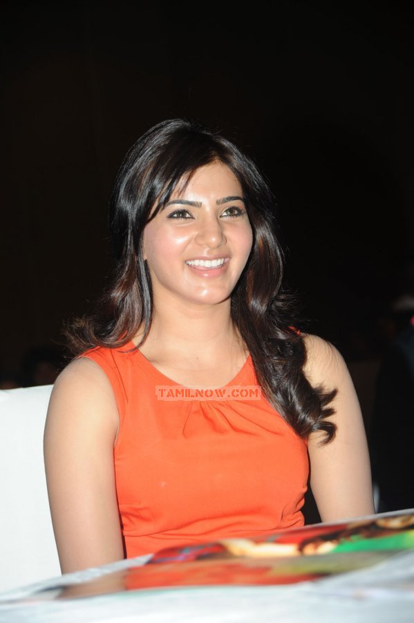 Actress Samantha 3520