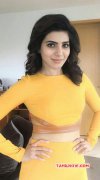 Image Indian Actress Samantha 7269