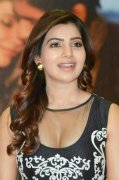 Samantha Indian Actress Latest Gallery 4161