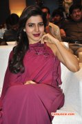 Samantha Latest Photo Actress Gallery 332