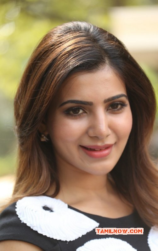 Tamil Actress Samantha 2014 Picture 1372
