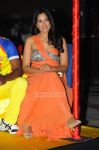 Actress Sameera Reddy 6433