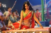 Actress Sameera Reddy 9133