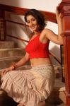 Tamil Actress Samiksha Singh 4432
